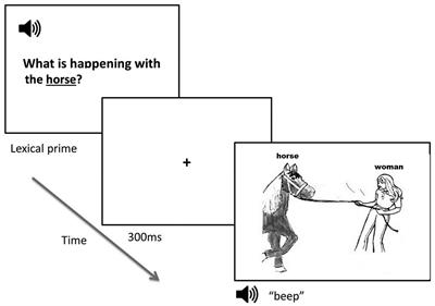 Syntactic flexibility and lexical encoding in aging sentence production: an eye tracking study